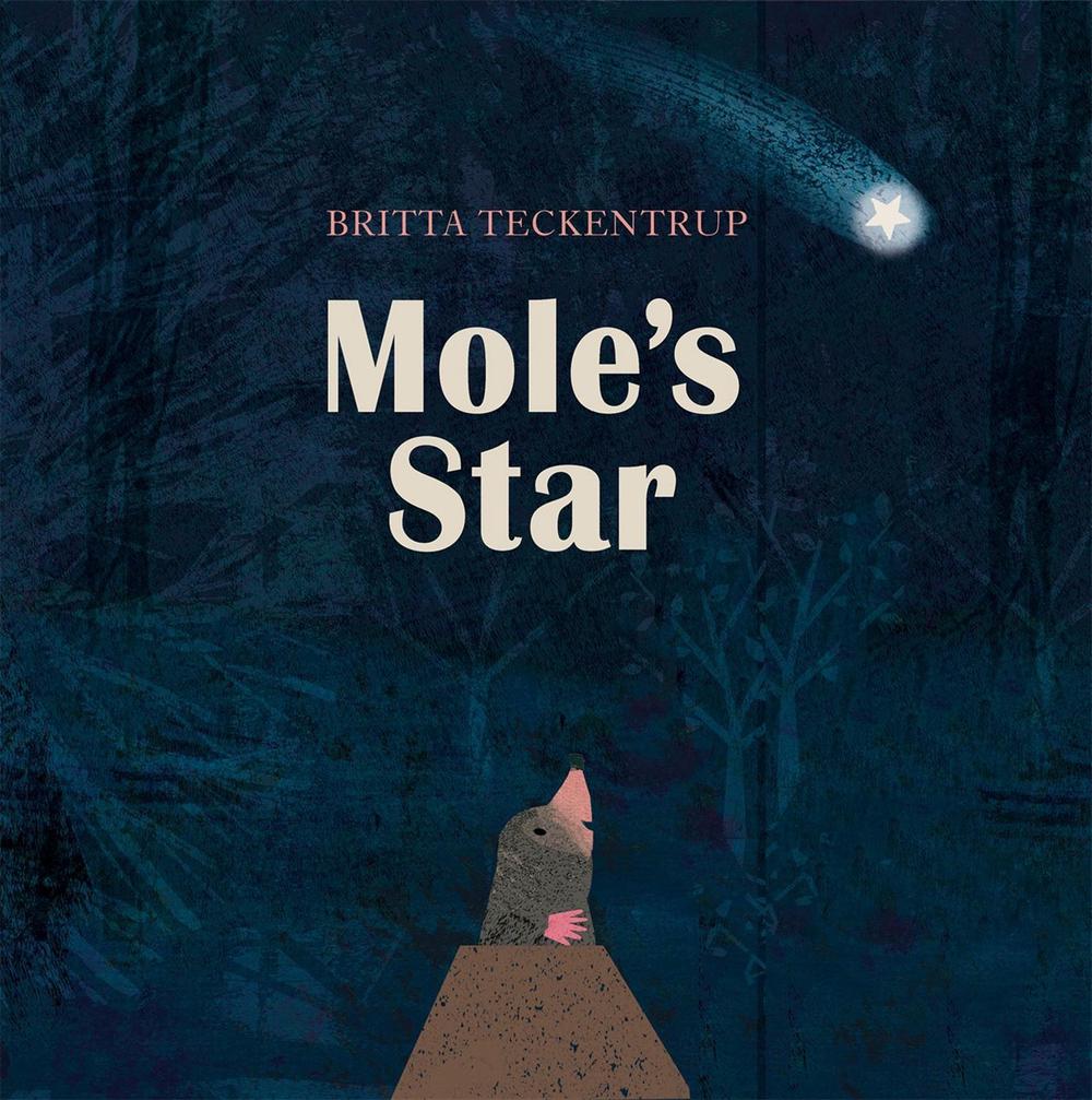 Mole's Star by Britta Teckentrup - ISBN: 9781408342831