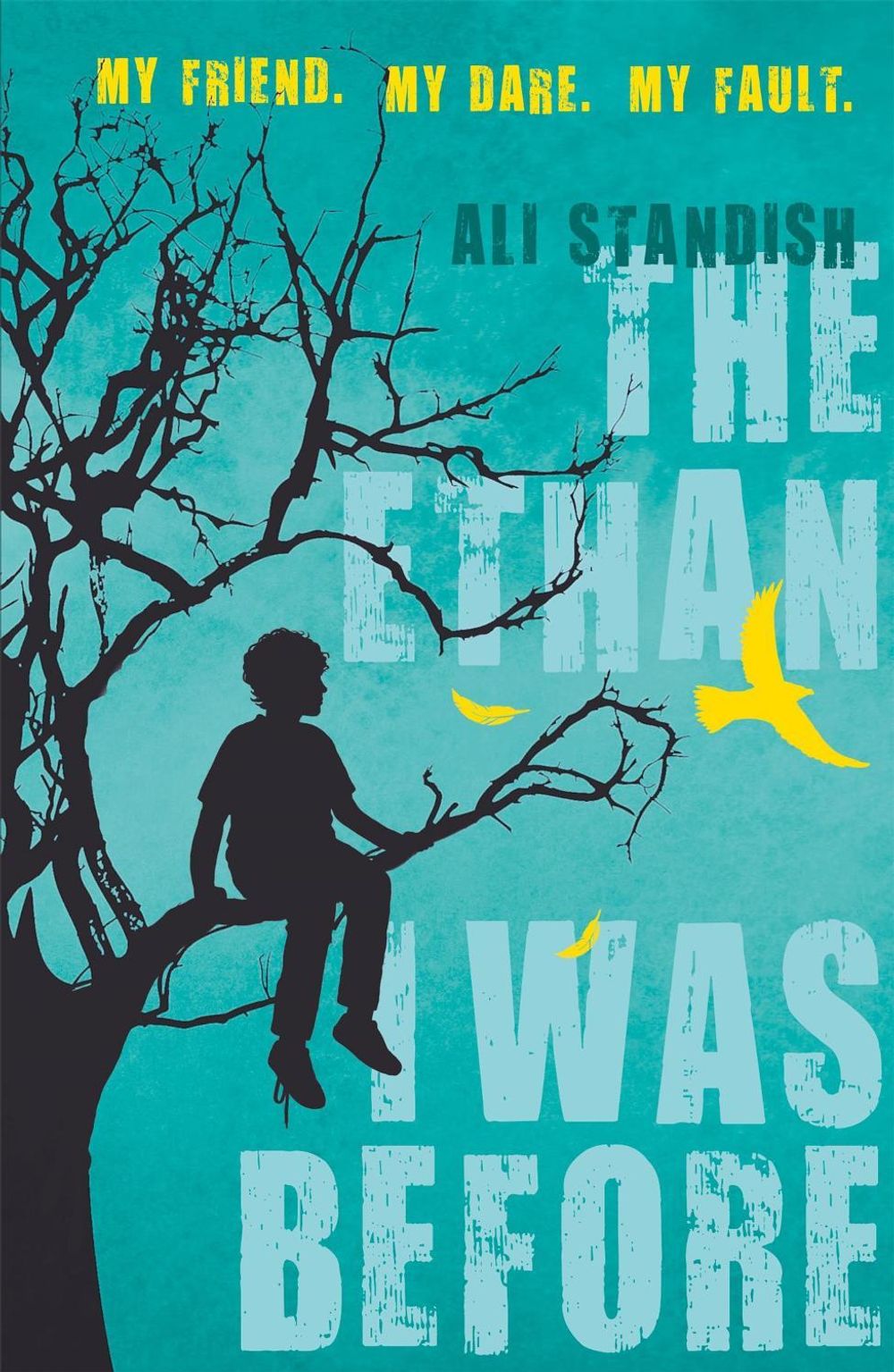 The Ethan I Was Before by Ali Standish - ISBN: 9781408342923