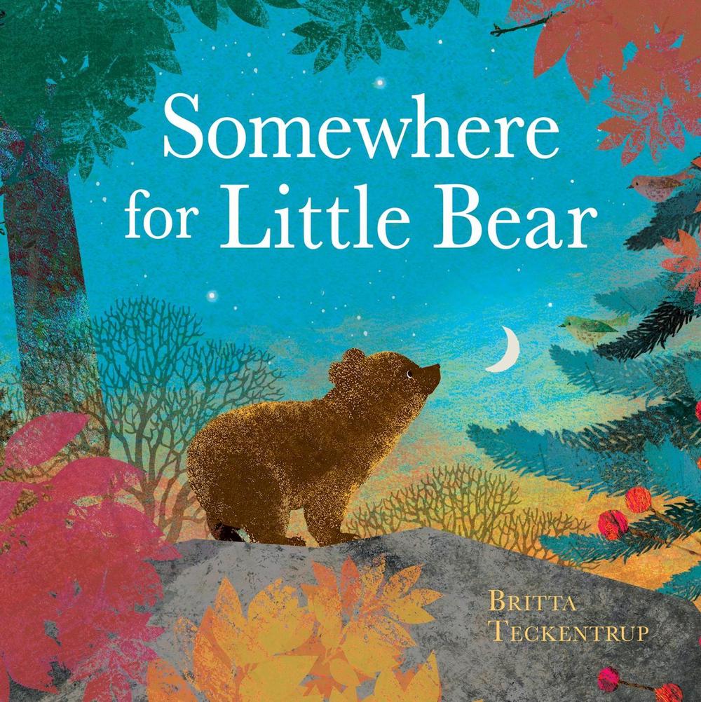Somewhere for Little Bear, 9781408359716