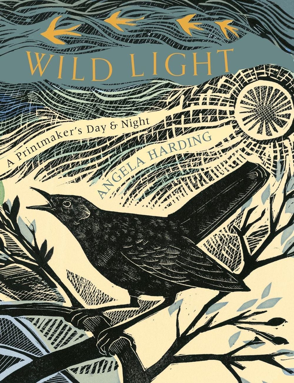 Wild Light by Angela Harding - ISBN: 9781408726808