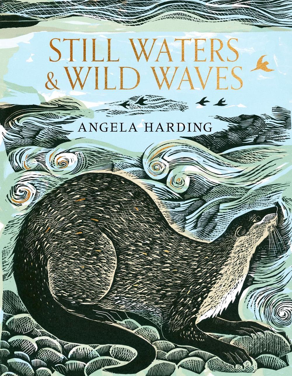 Still Waters & Wild Waves, 9781408726815