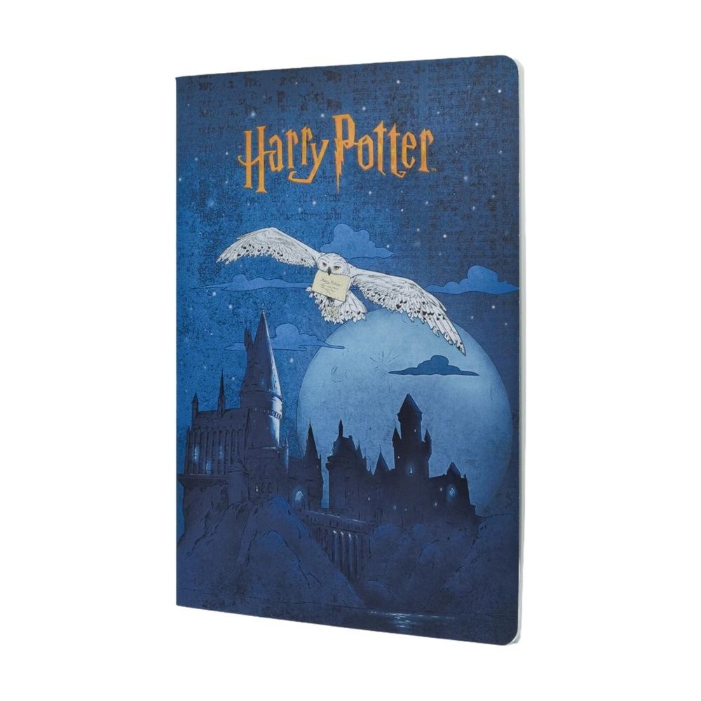 Escape to Hogwarts (Harry Potter Collection) A4 Grid Cahier by Paperblanks - ISBN: 9781408765678