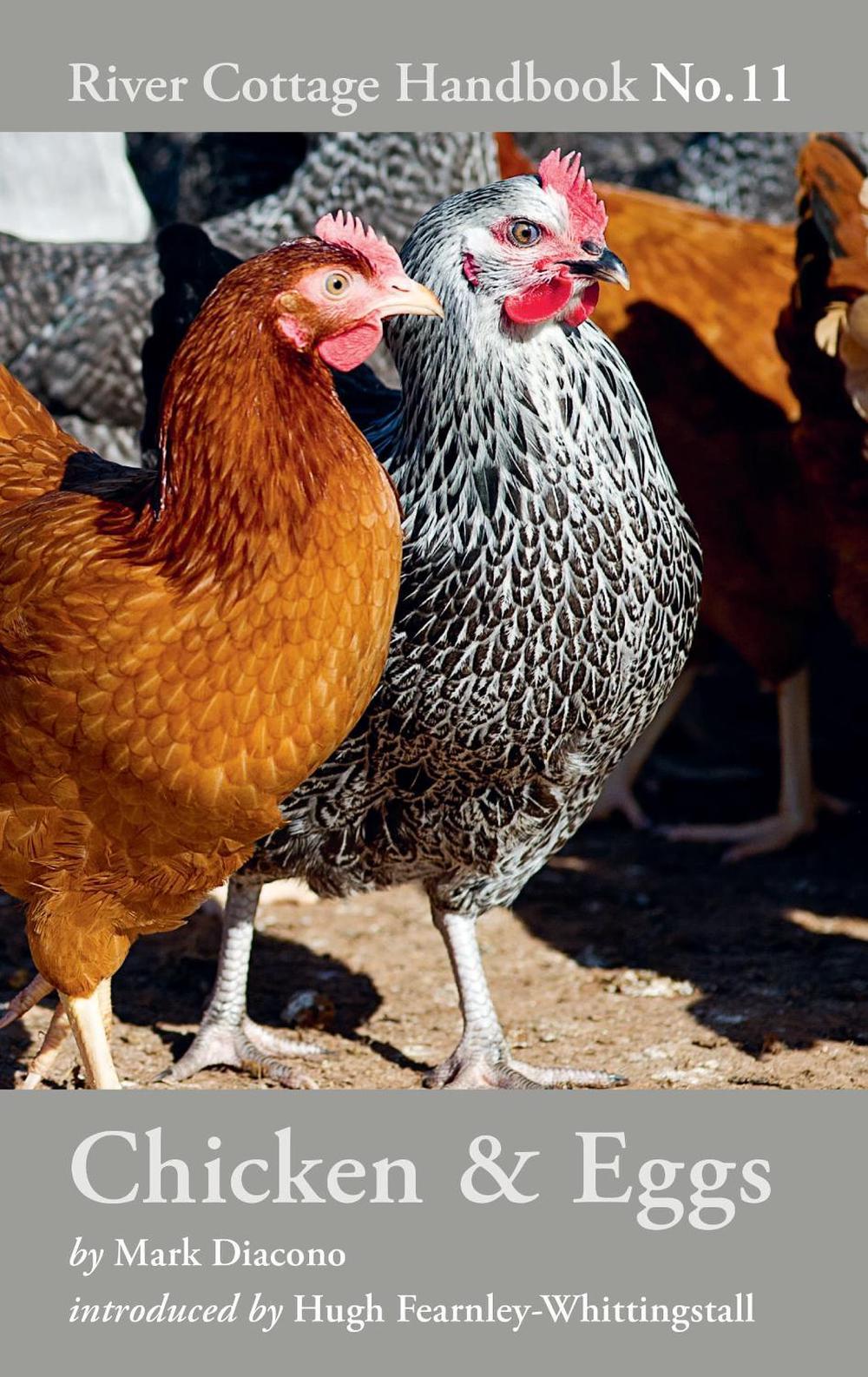 Chicken & Eggs, 9781408817919