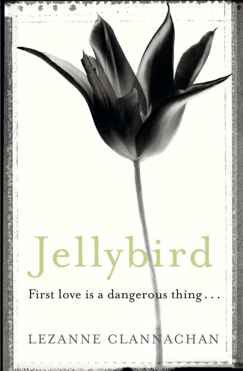 Jellybird by Lezanne Clannachan - ISBN: 9781409127963
