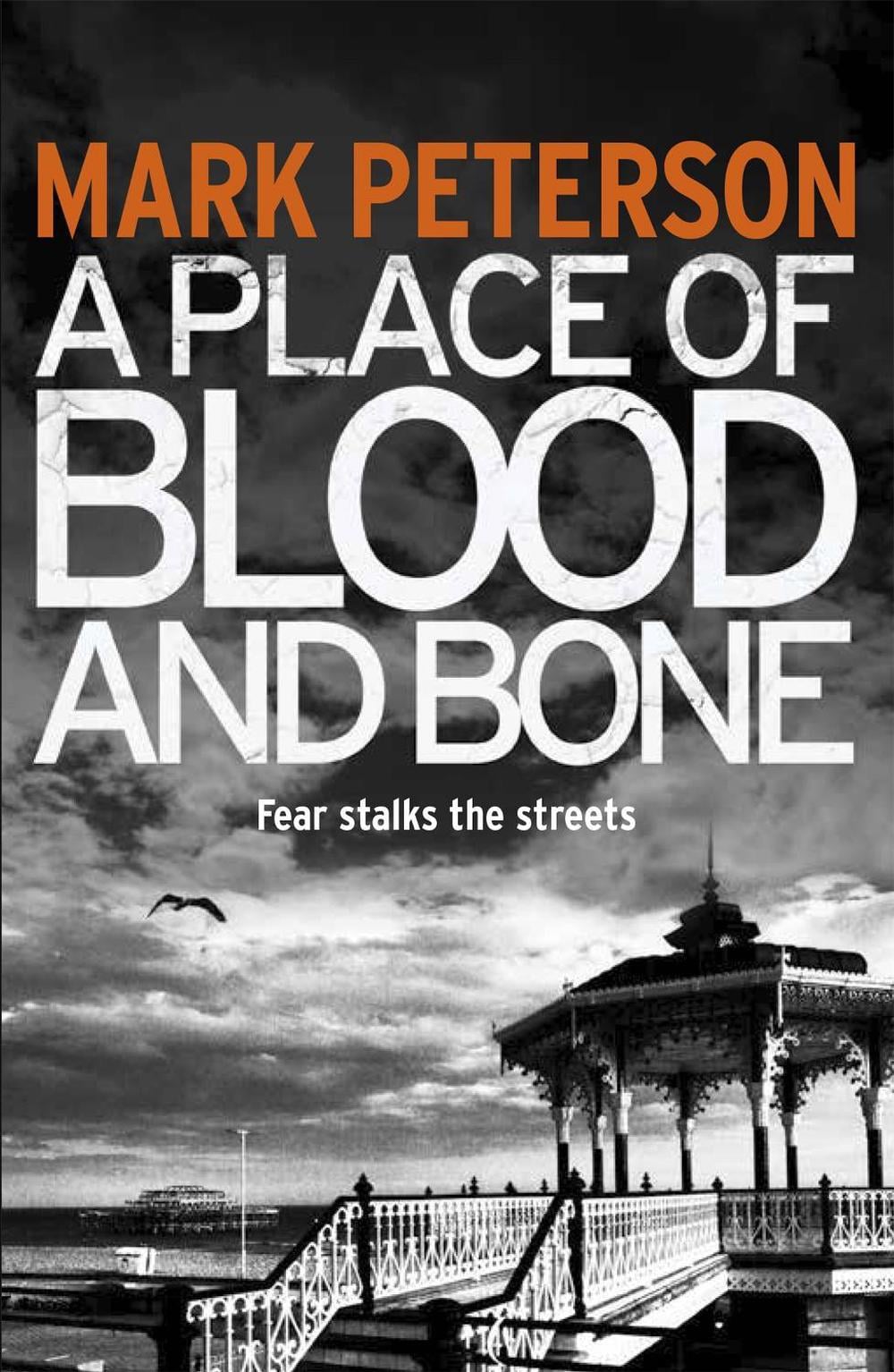 A Place of Blood and Bone by Mark Peterson - ISBN: 9781409135937