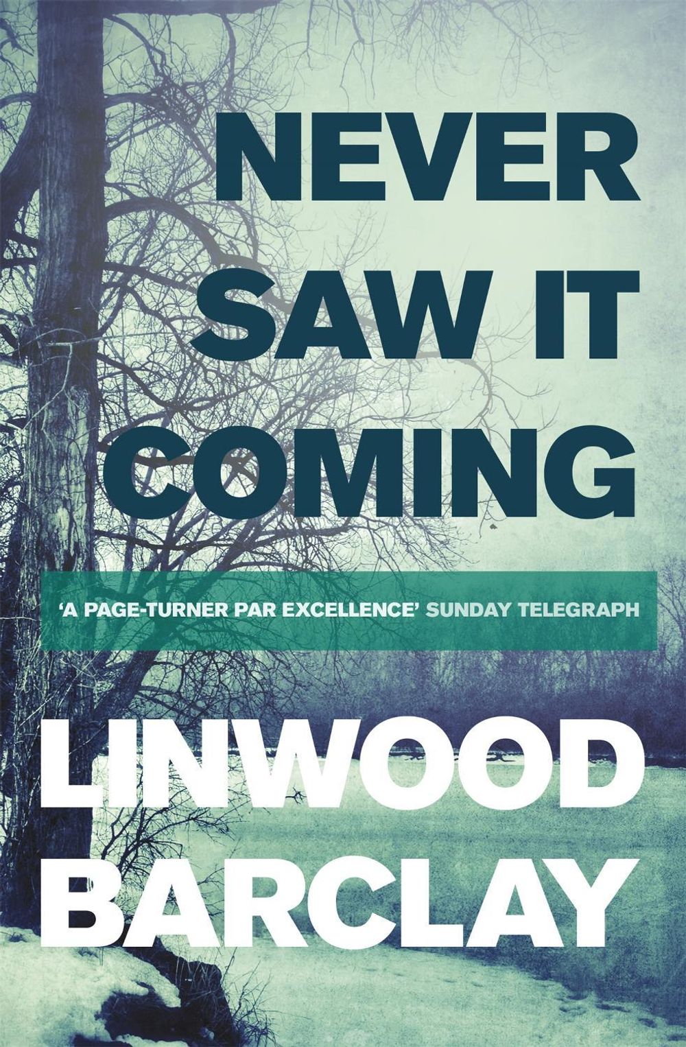 Never Saw it Coming by Linwood Barclay - ISBN: 9781409137634