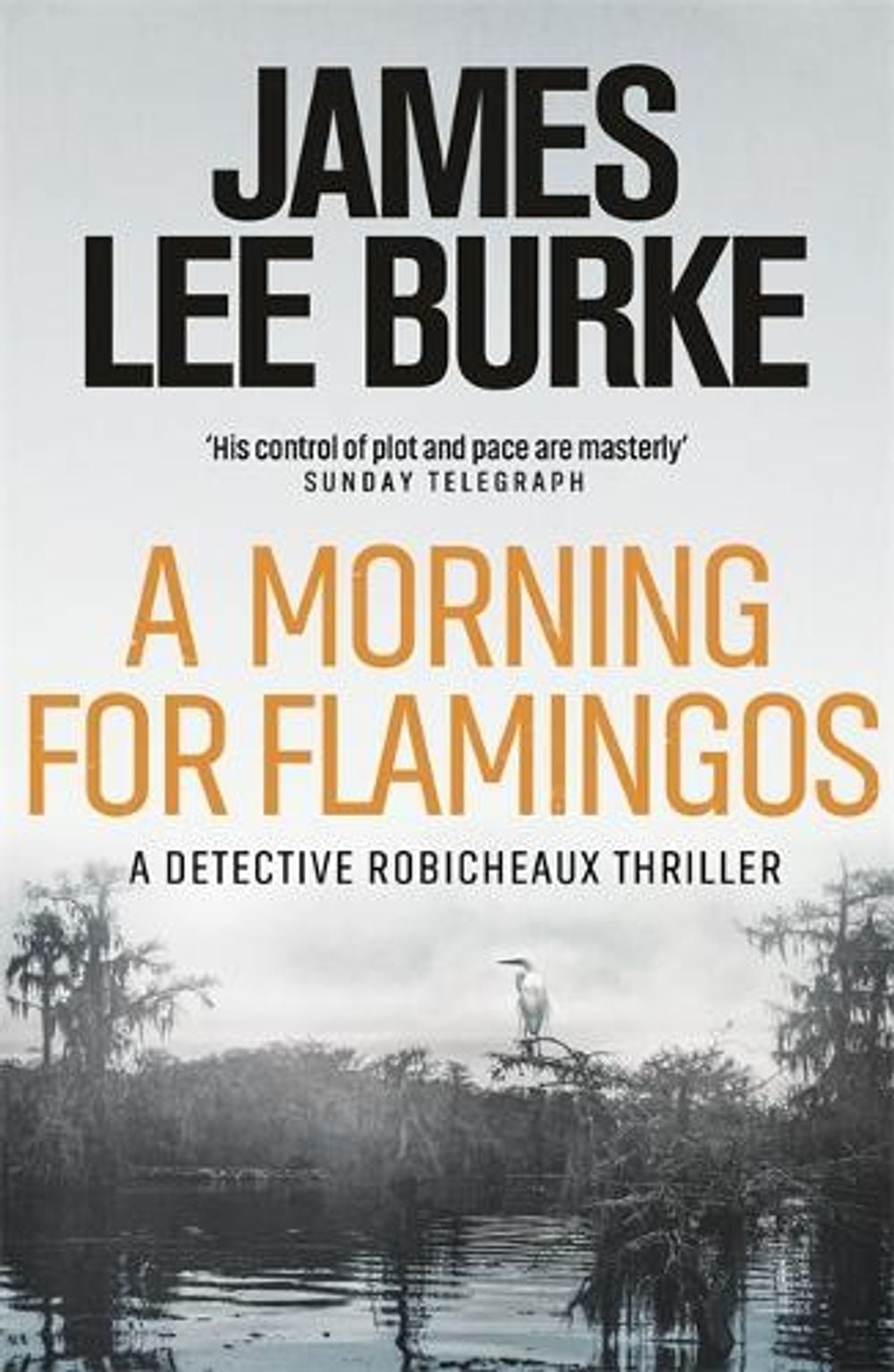 A Morning For Flamingos by James Lee Burke - ISBN: 9781409155942