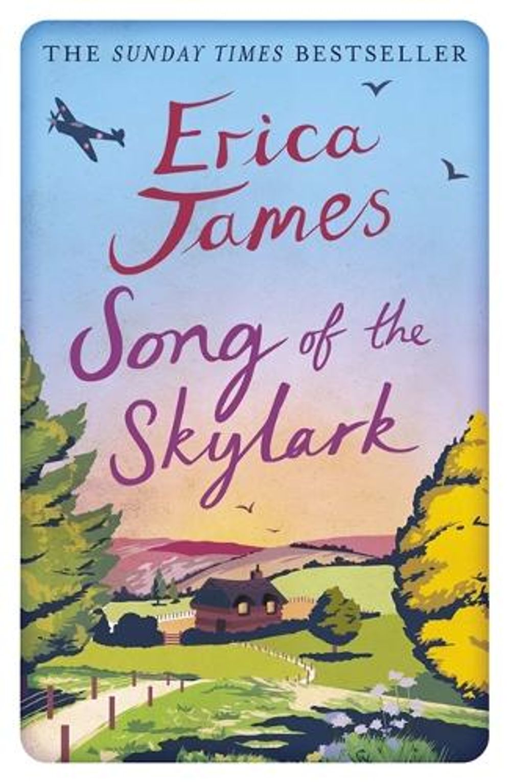 Song of the Skylark by Erica James - ISBN: 9781409159575