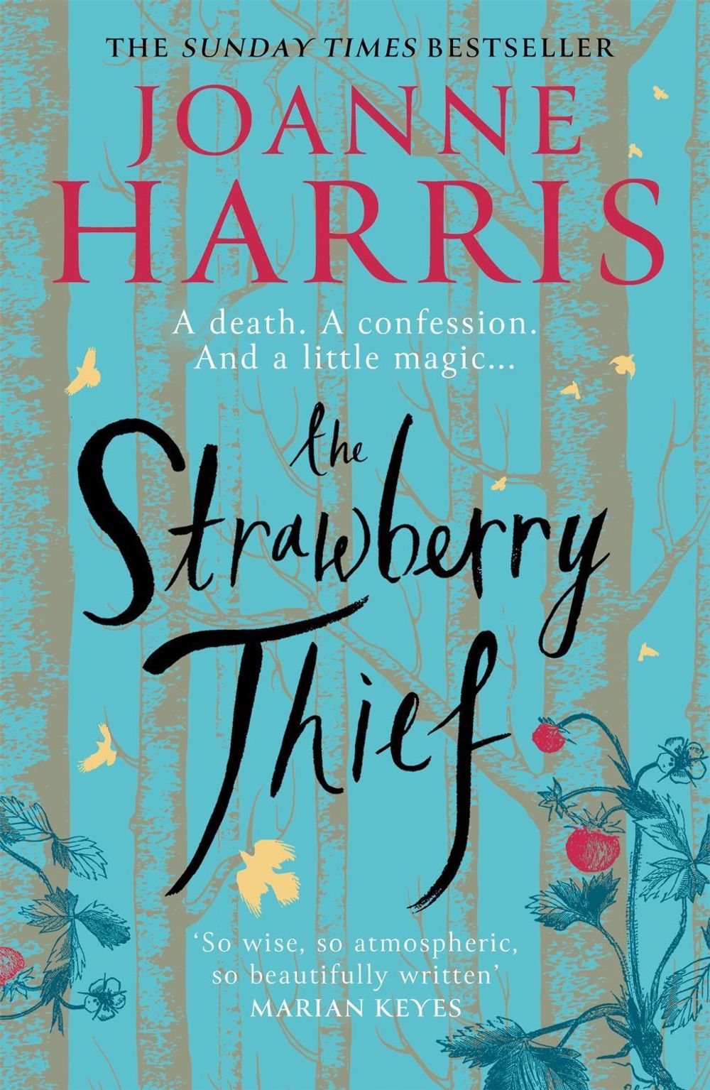The Strawberry Thief by Joanne Harris - ISBN: 9781409170778