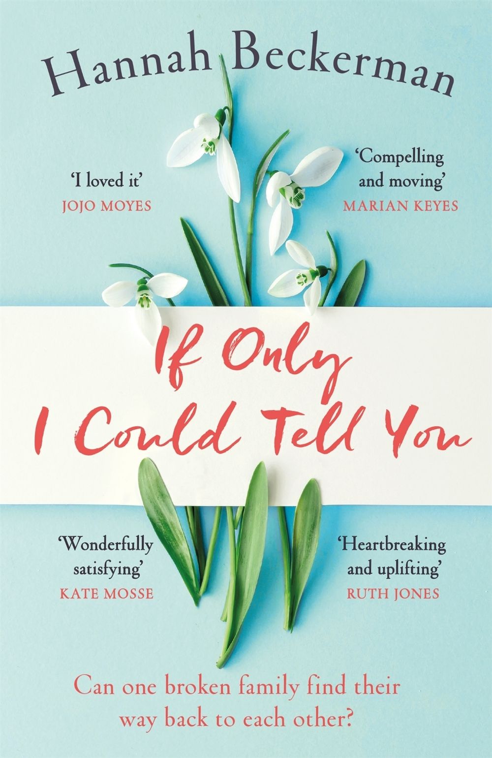 If Only I Could Tell You by Hannah Beckerman - ISBN: 9781409177326