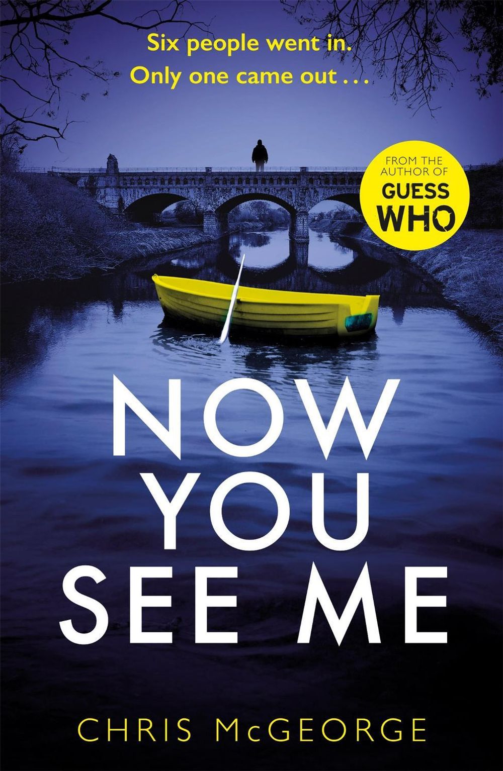 Now You See Me by Chris McGeorge - ISBN: 9781409178101