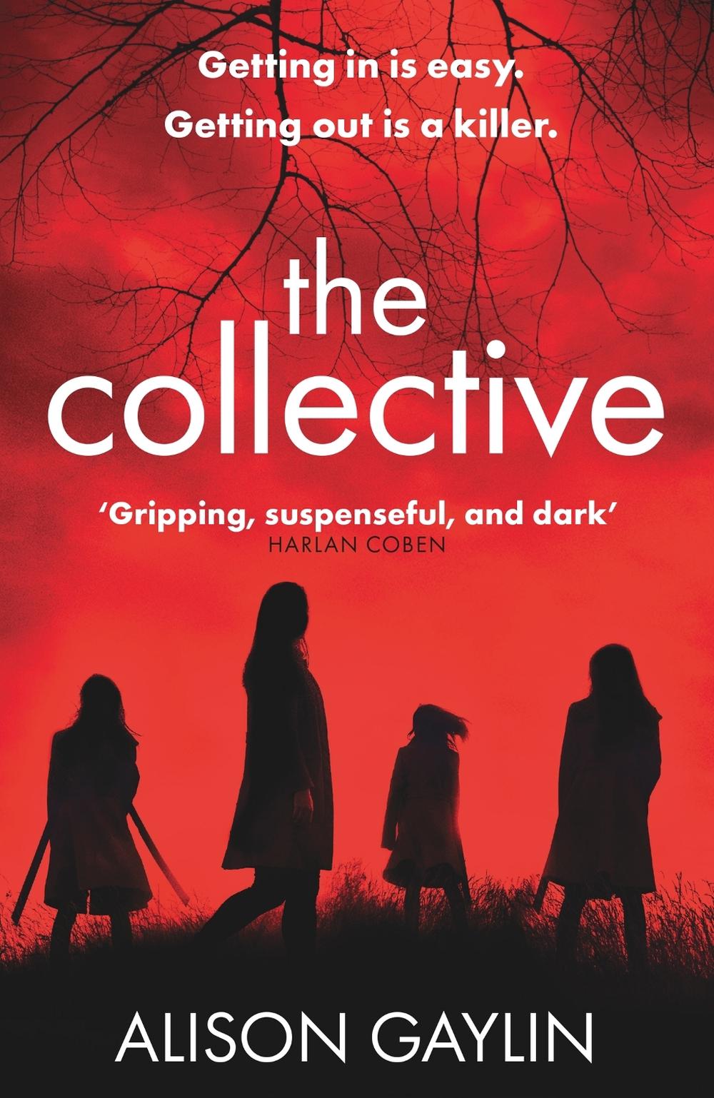 The Collective by Alison Gaylin - ISBN: 9781409179085
