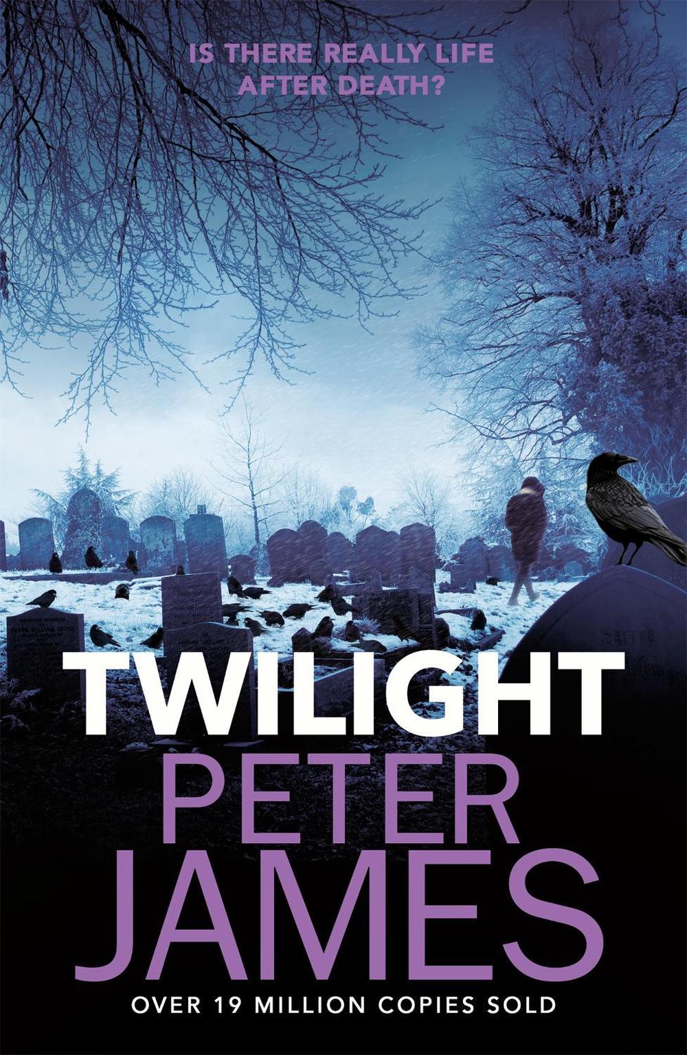 Twilight by Peter James - ISBN: 9781409181309