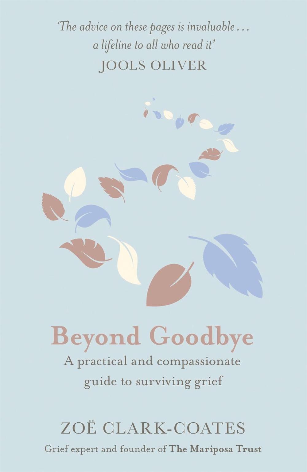 Beyond Goodbye, 9781409185406