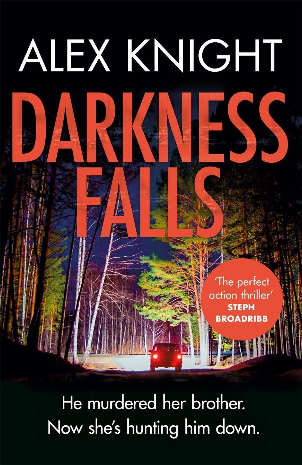 Darkness Falls by Alex Knight - ISBN: 9781409193692
