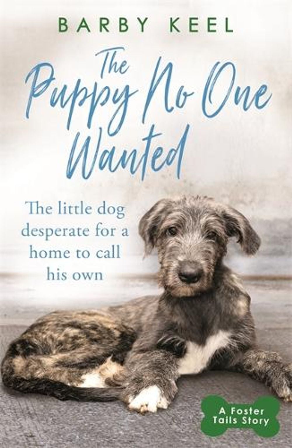 The Puppy No One Wanted by Barby Keel - ISBN: 9781409194699