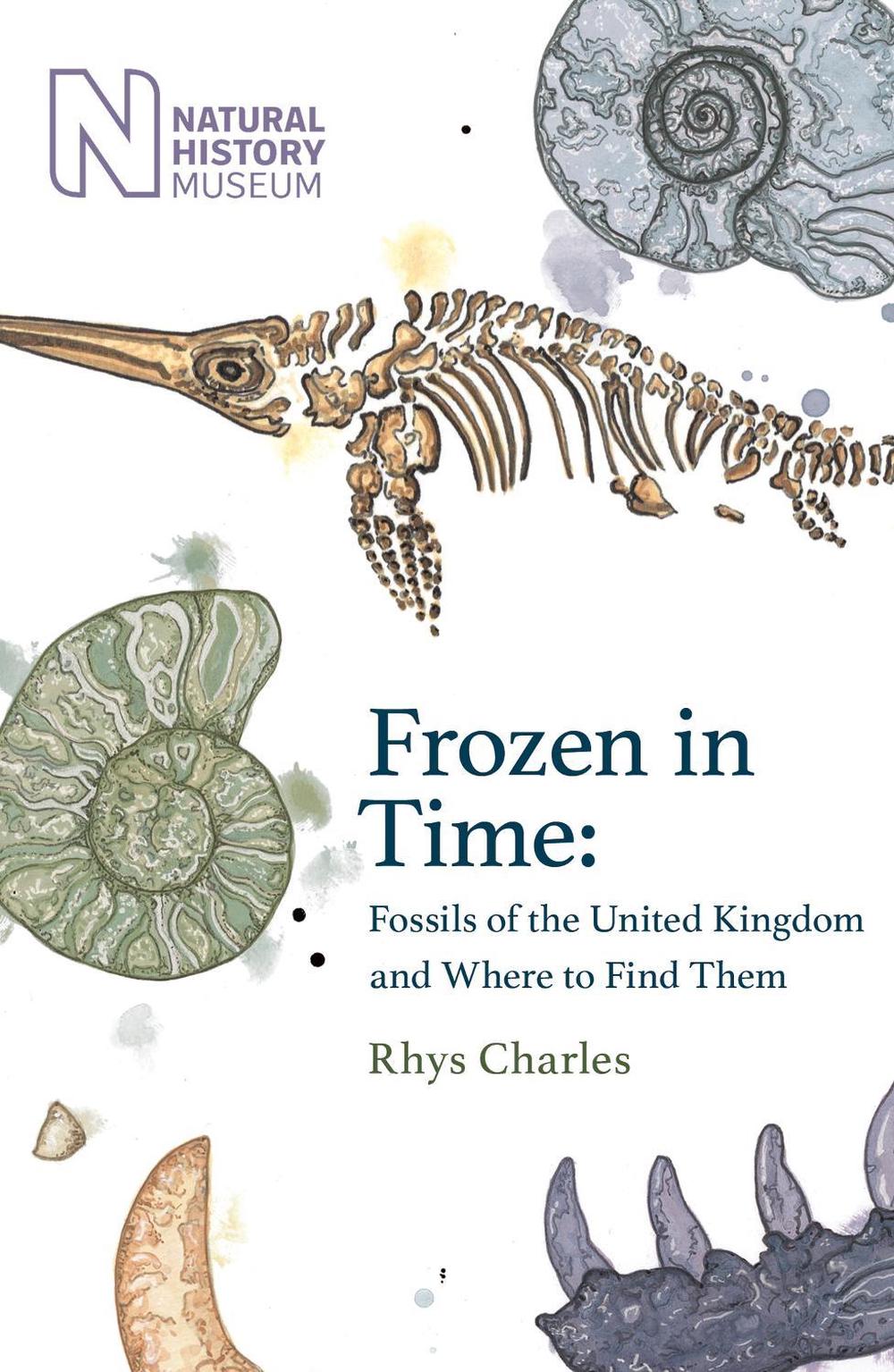 Frozen in Time by Rhys Charles - ISBN: 9781409197966