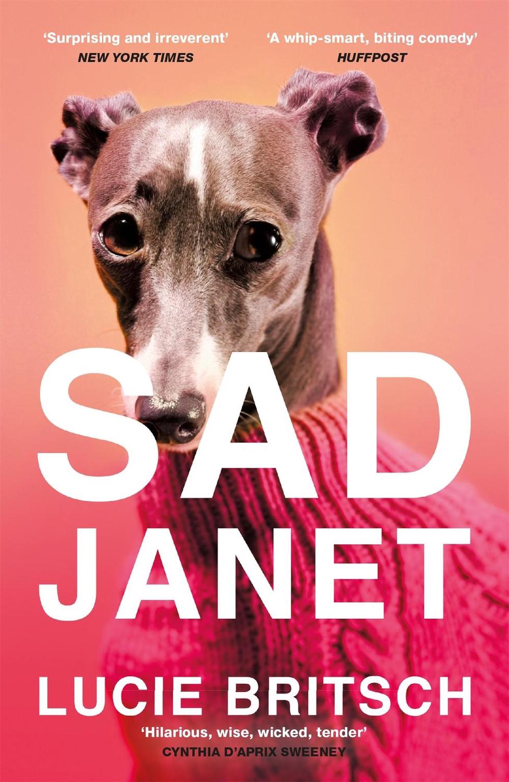 Sad Janet by Lucie Britsch - ISBN: 9781409198666