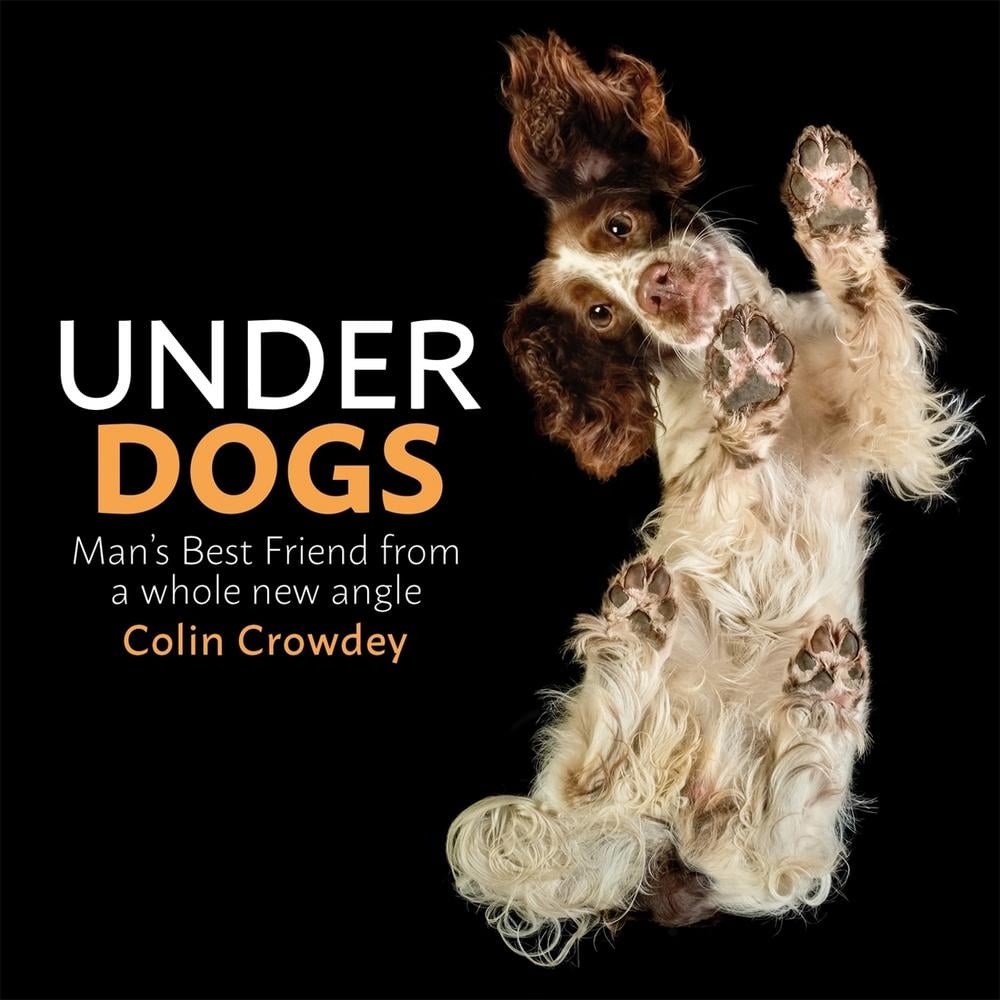 Underdogs by Colin Crowdey - ISBN: 9781409199281