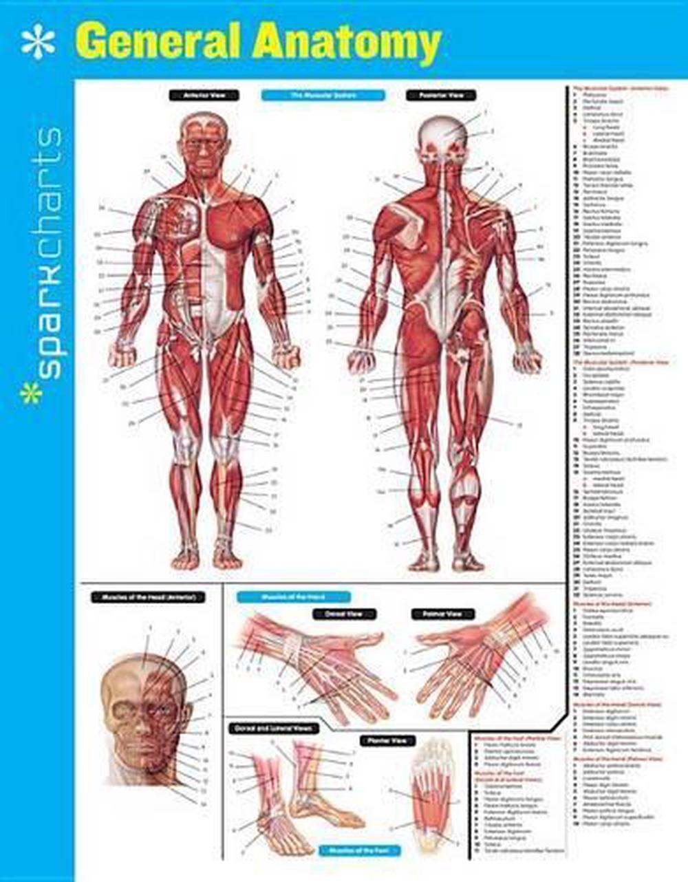 General Anatomy SparkCharts, 9781411470187