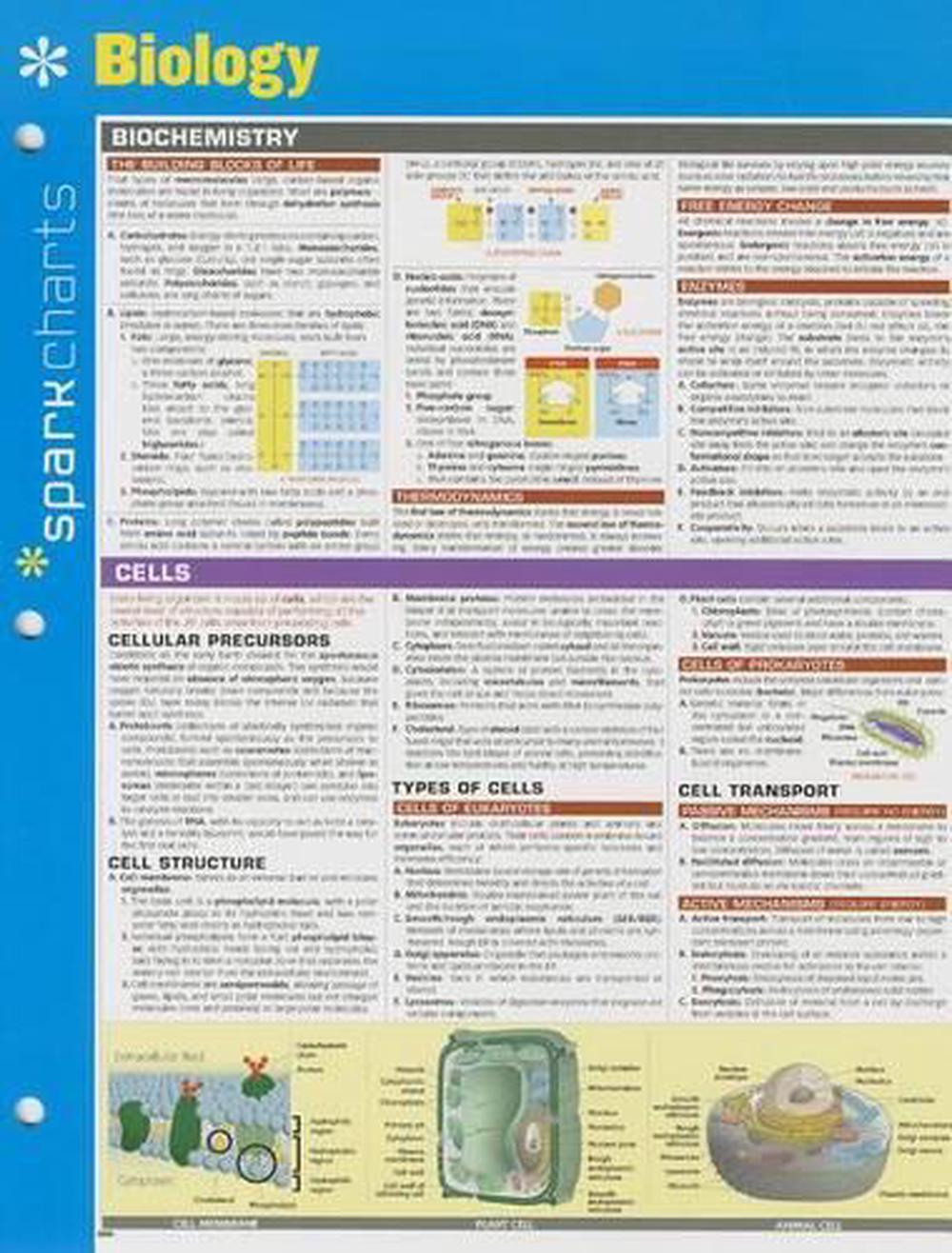 Biology SparkCharts, 9781411470200