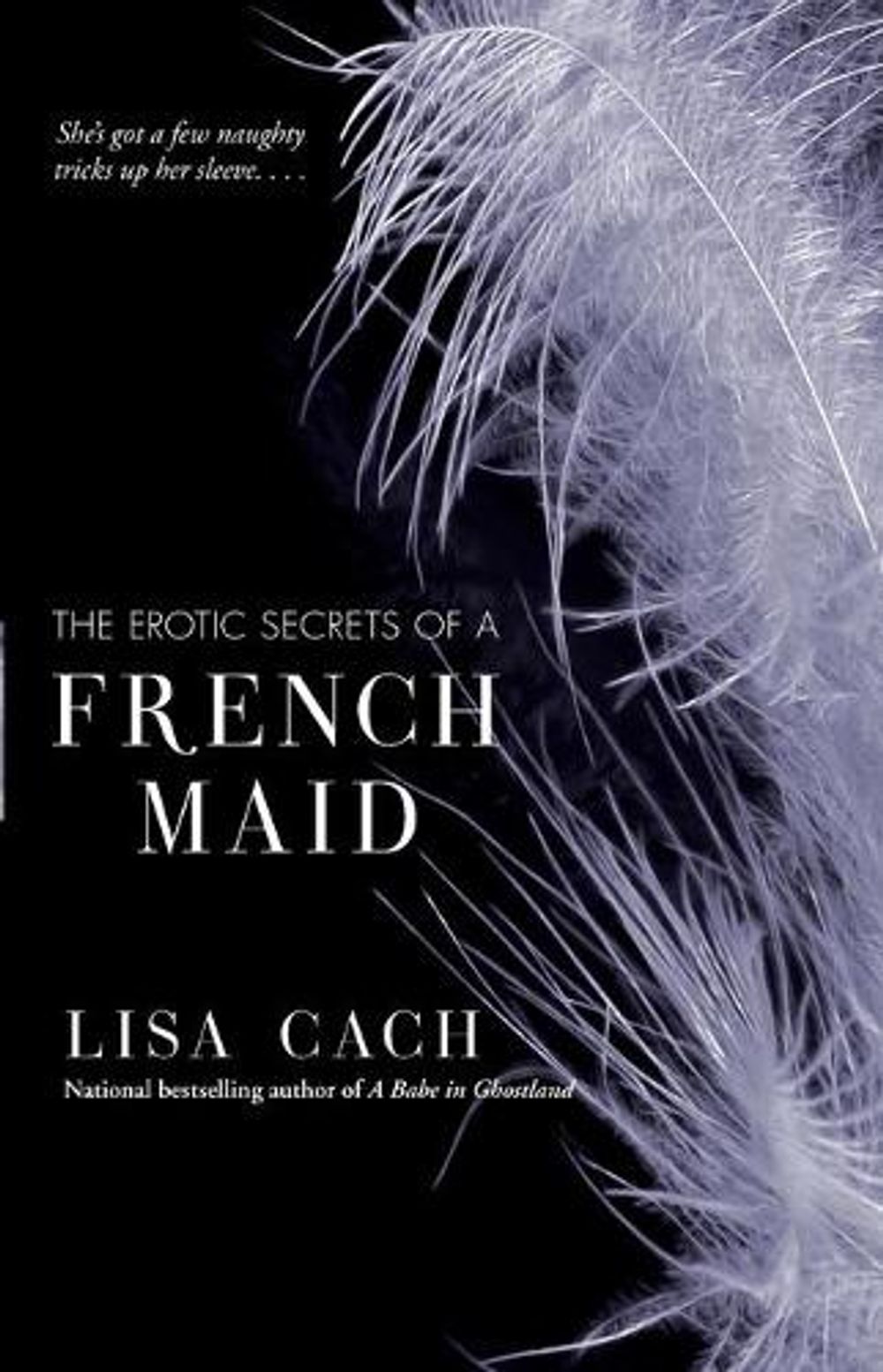 The Erotic Secrets of a French Maid by Lisa Cach - ISBN: 9781416513308