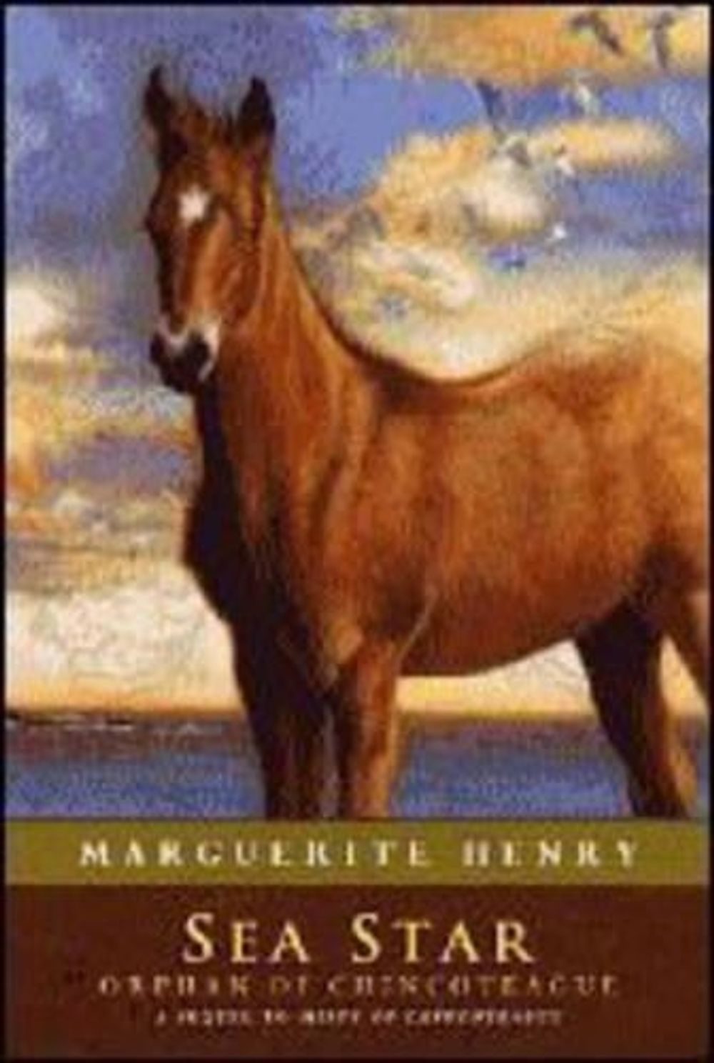 Sea Star by Marguerite Henry - ISBN: 9781416927846