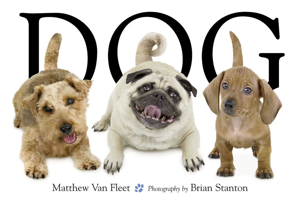 Dog by Matthew Van Fleet - ISBN: 9781416941378