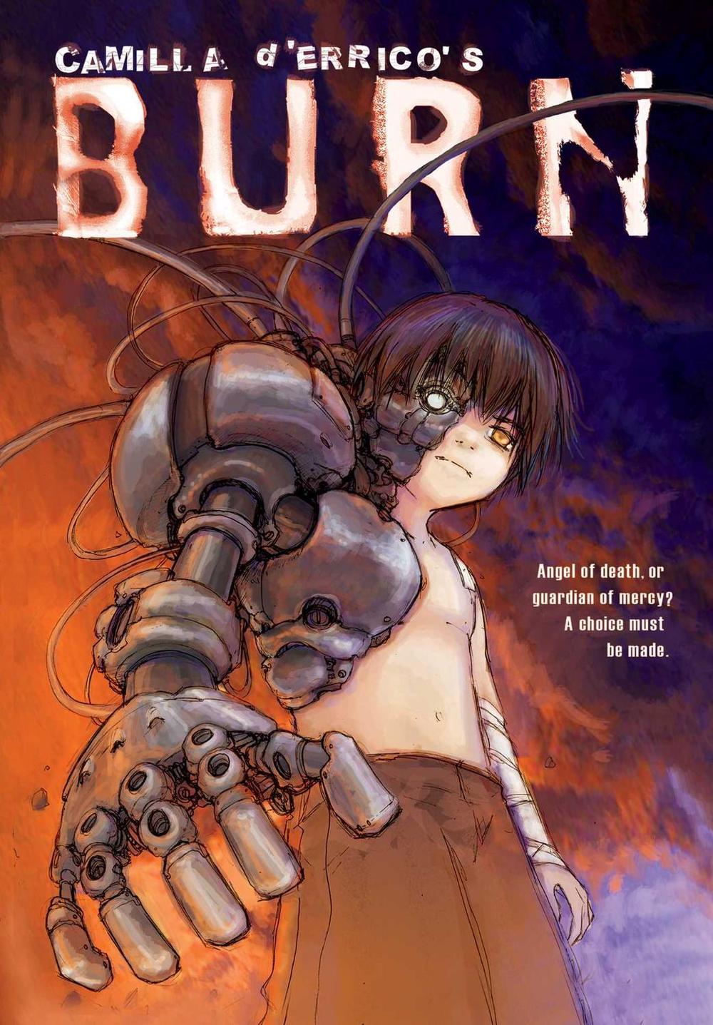 Camilla d'Errico's Burn, 9781416978732