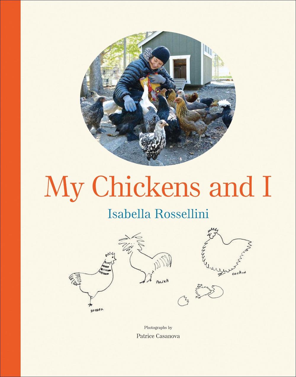 My Chickens and I, 9781419729911