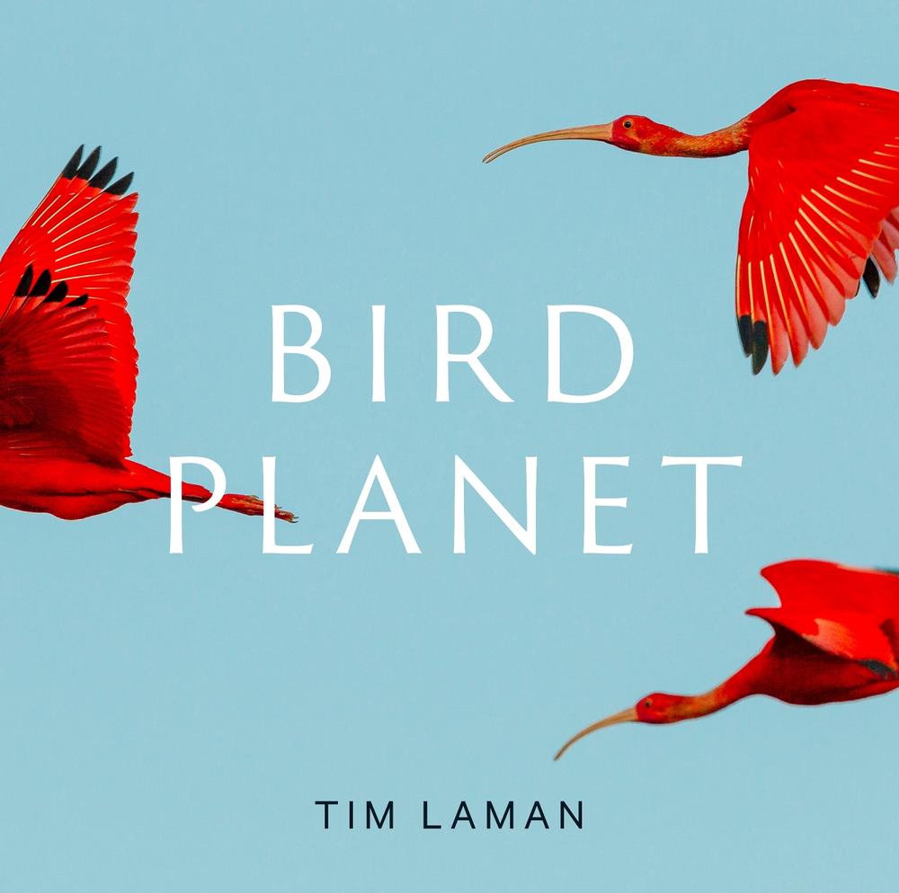 Bird Planet, 9781419761492