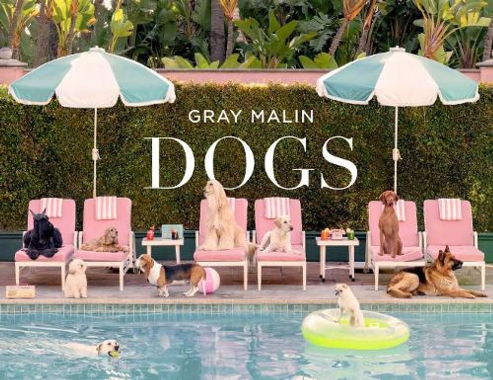 Gray Malin: Dogs by Gray Malin - ISBN: 9781419769238