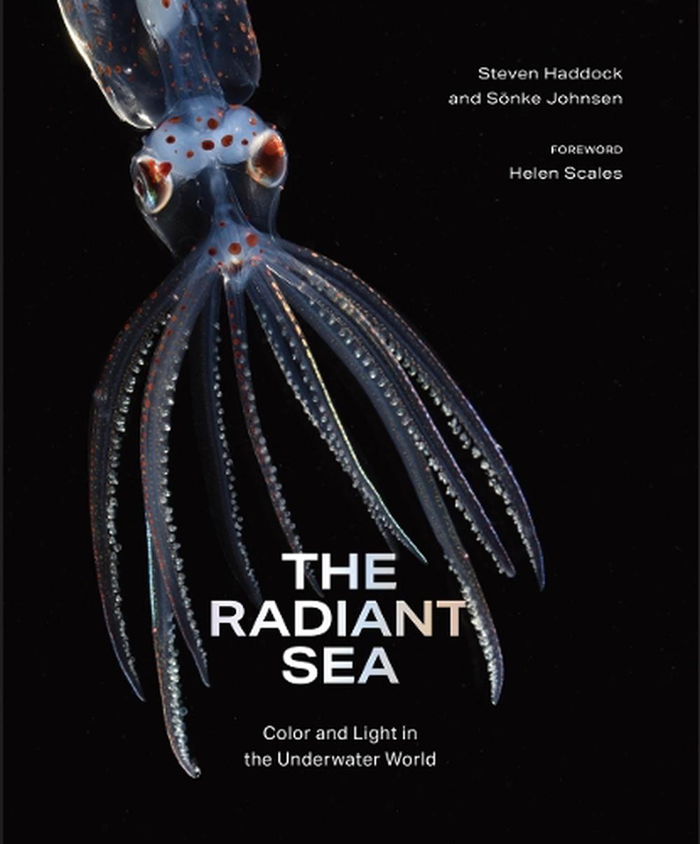 The Radiant Sea, 9781419772375