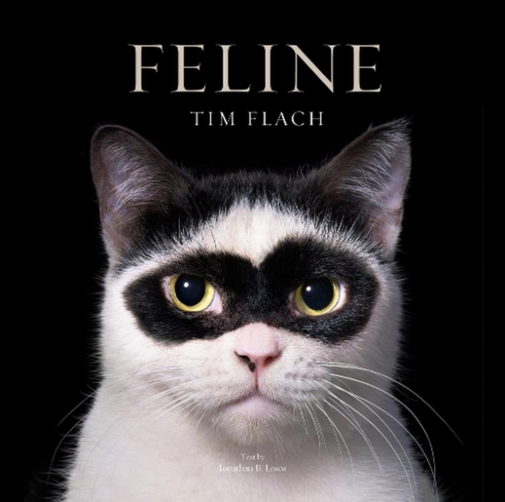 Feline, 9781419773648