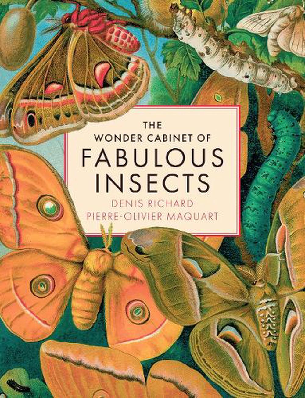 The Wonder Cabinet of Fabulous Insects, 9781419779763