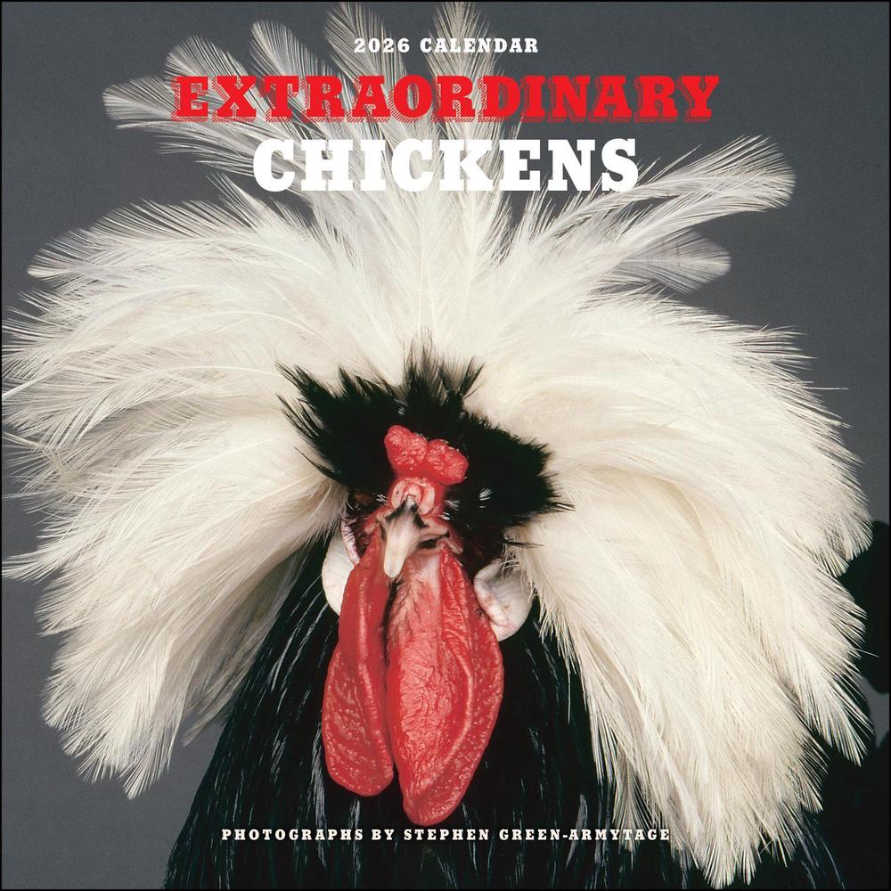 Extraordinary Chickens 2026 Wall Calendar, 9781419782459