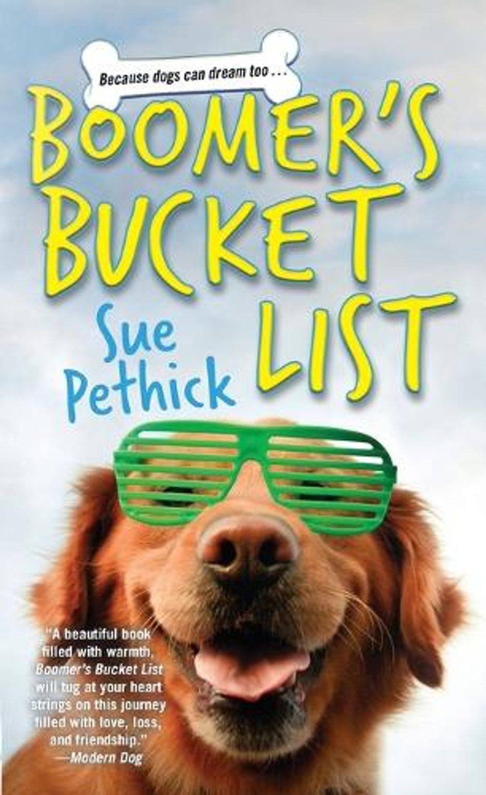 Boomer's Bucket List by Sue Pethick - ISBN: 9781420156027