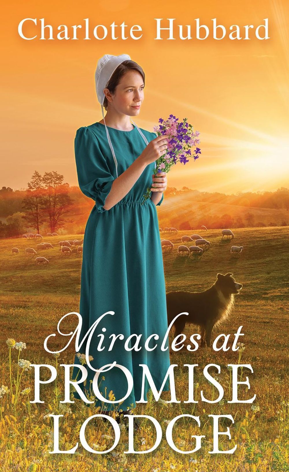 Miracles at Promise Lodge by Charlotte Hubbard - ISBN: 9781420156270