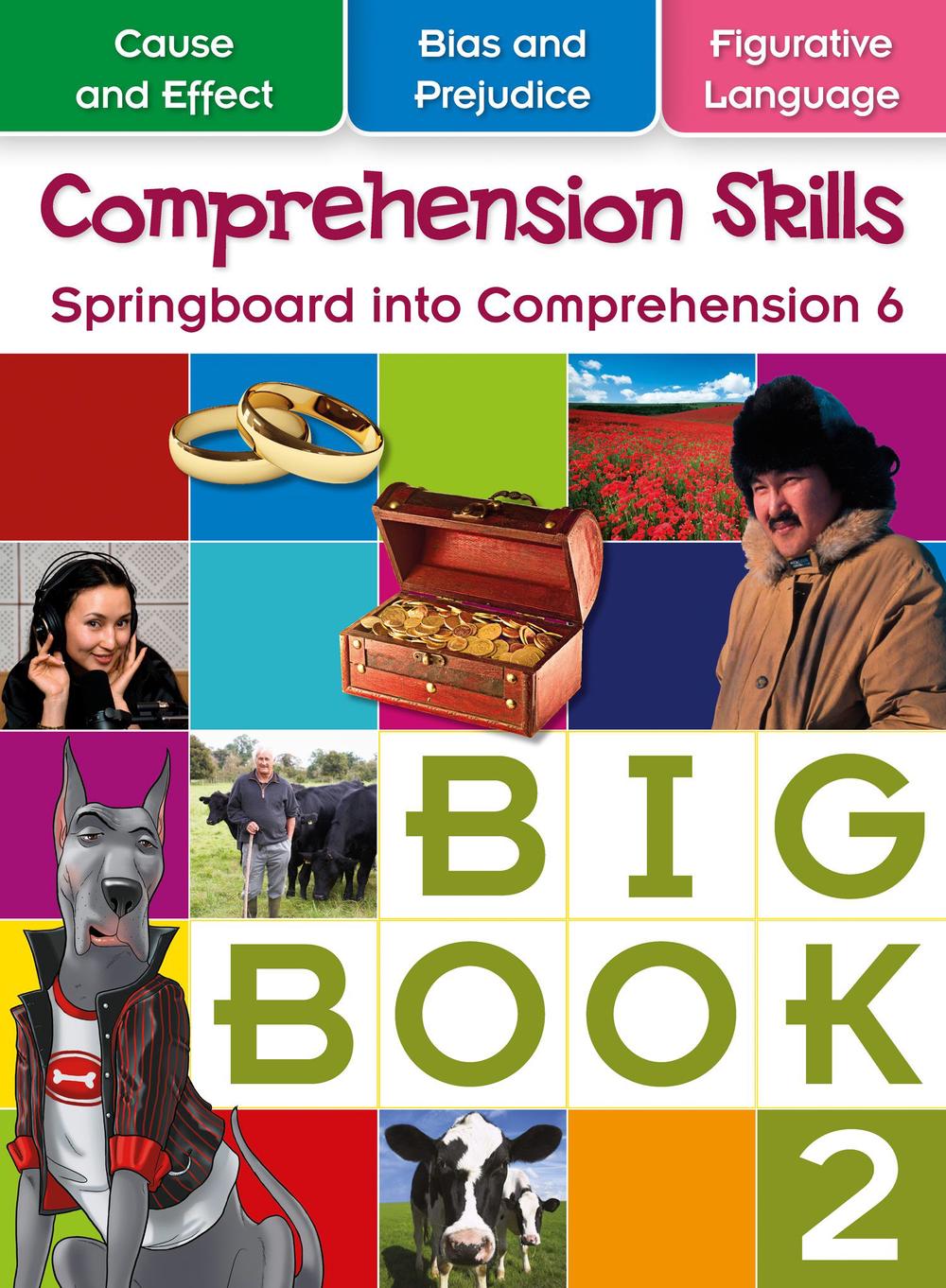 Springboard into Comprehension Level 6 Big Book 2 by Skills Springboard ...