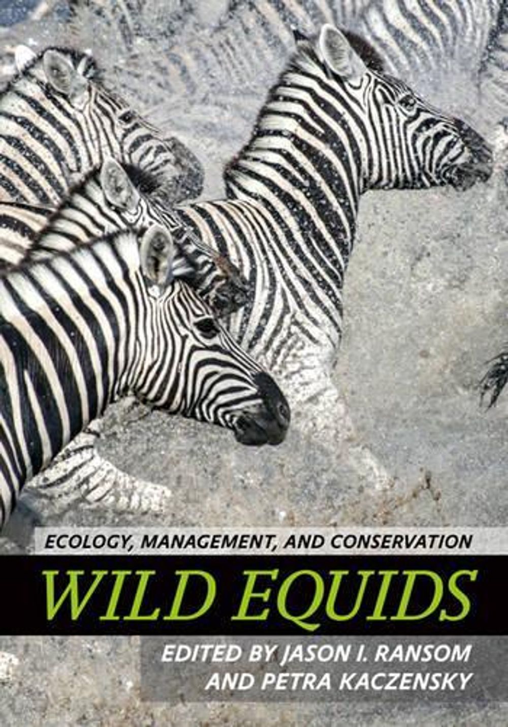 Wild Equids by Petra Kaczensky - ISBN: 9781421419091