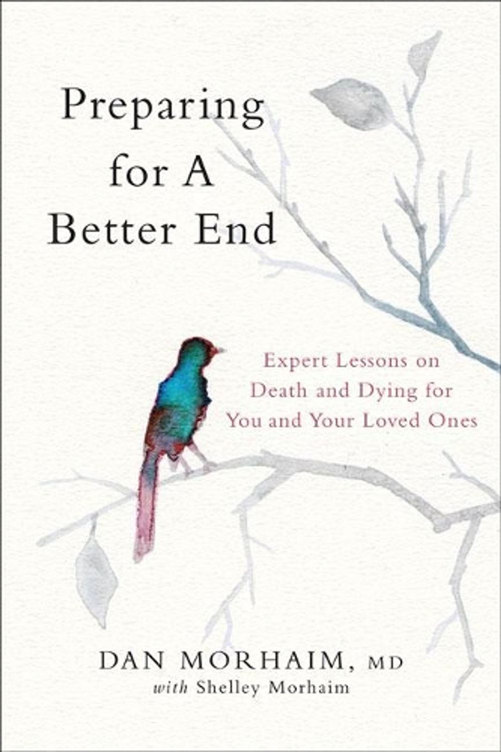 Preparing for a Better End by Dan Morhaim - ISBN: 9781421439167