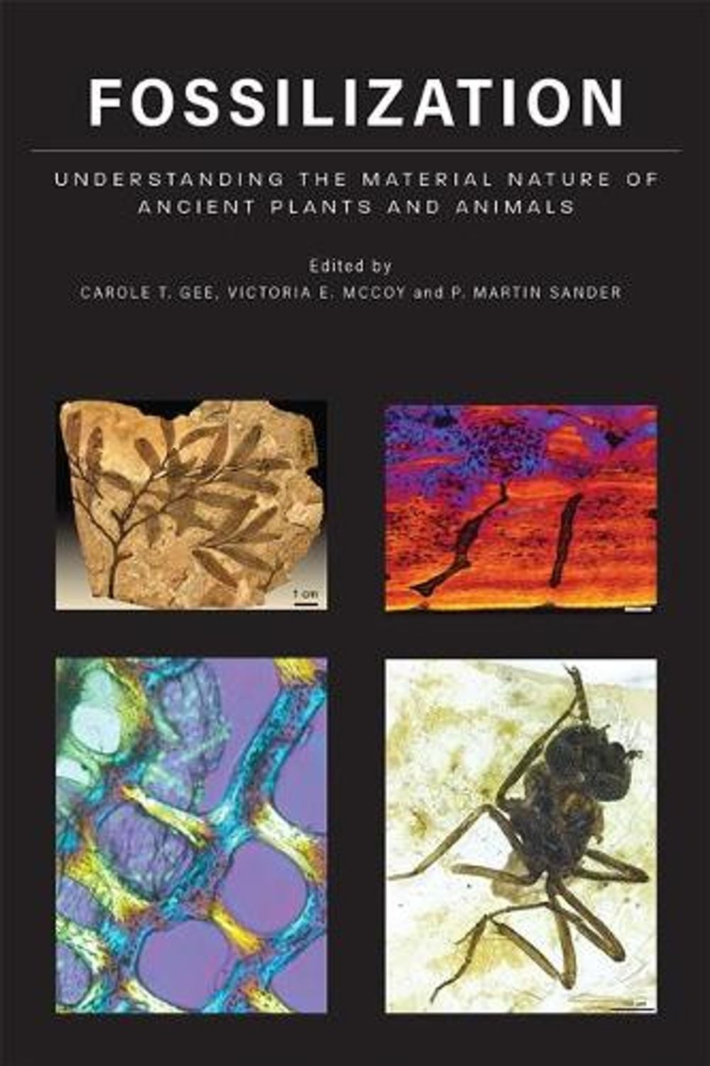 Fossilization by Victoria E. McCoy - ISBN: 9781421440217