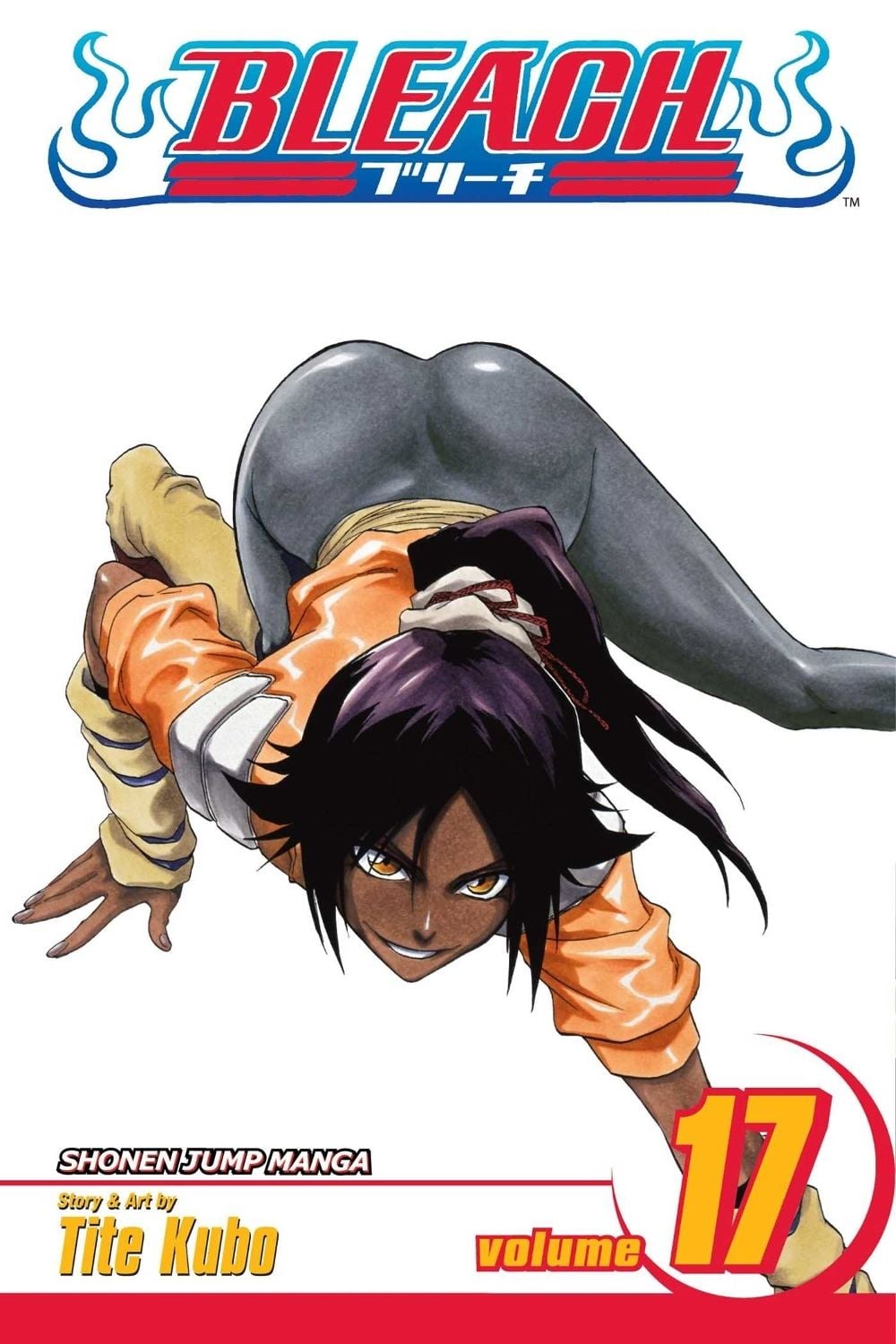 Bleach, Vol. 17 by Tite Kubo - ISBN: 9781421510415
