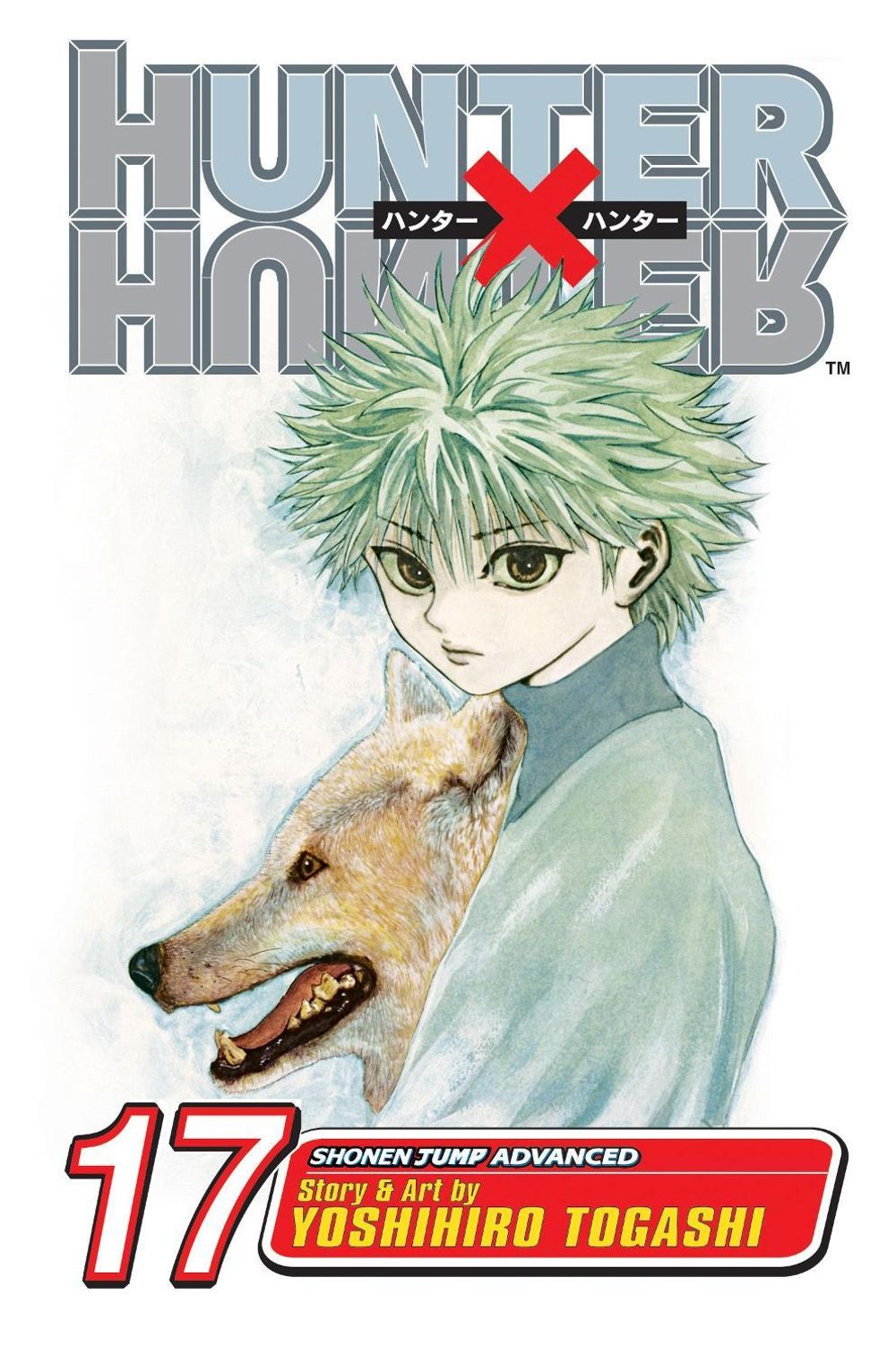 Hunter x Hunter, Vol. 17 by Yoshihiro Togashi - ISBN: 9781421510736