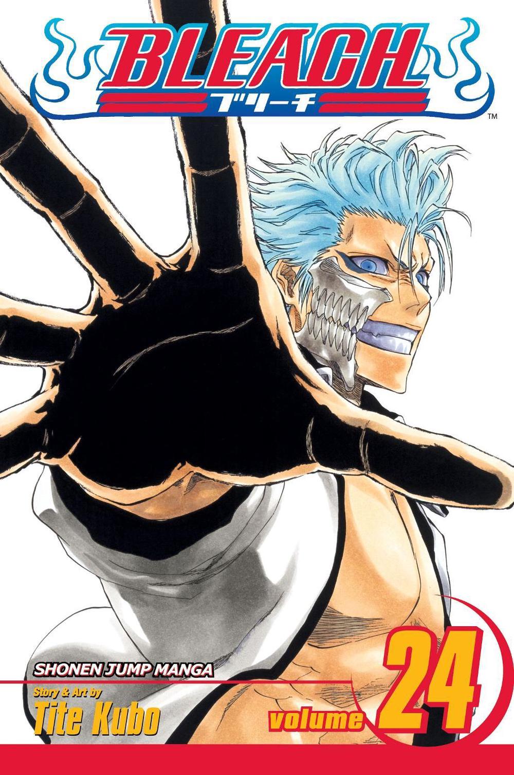 Bleach, Vol. 24, 9781421516035