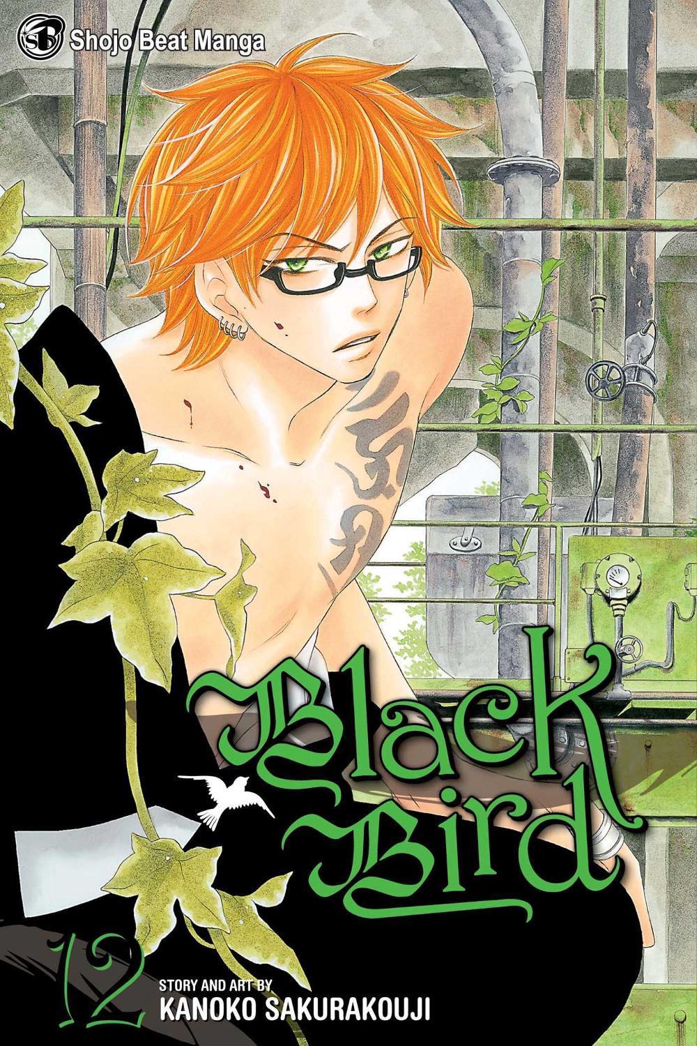 Black Bird, Vol. 12 by Kanoko Sakurakouji - ISBN: 9781421540528