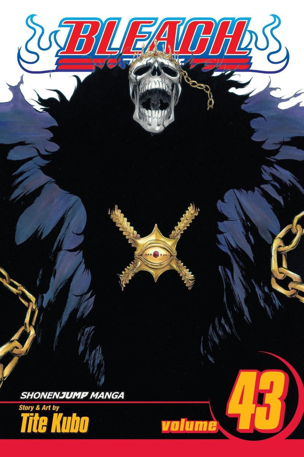 Bleach, Vol. 43 by Tite Kubo - ISBN: 9781421542966