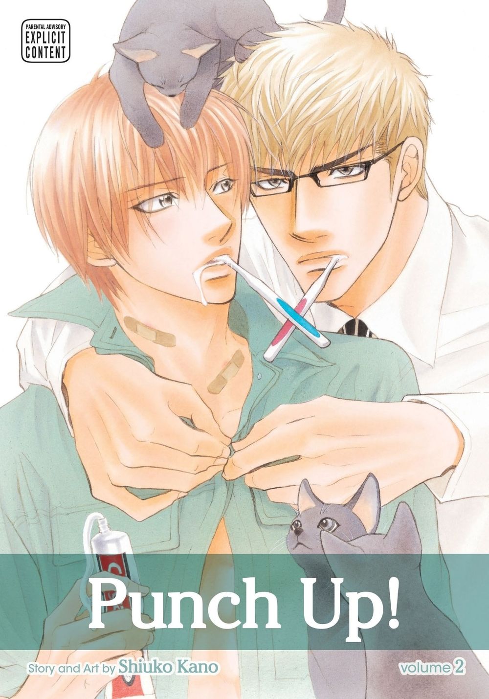 Punch Up!, Vol. 2 by Shiuko Kano - ISBN: 9781421543505