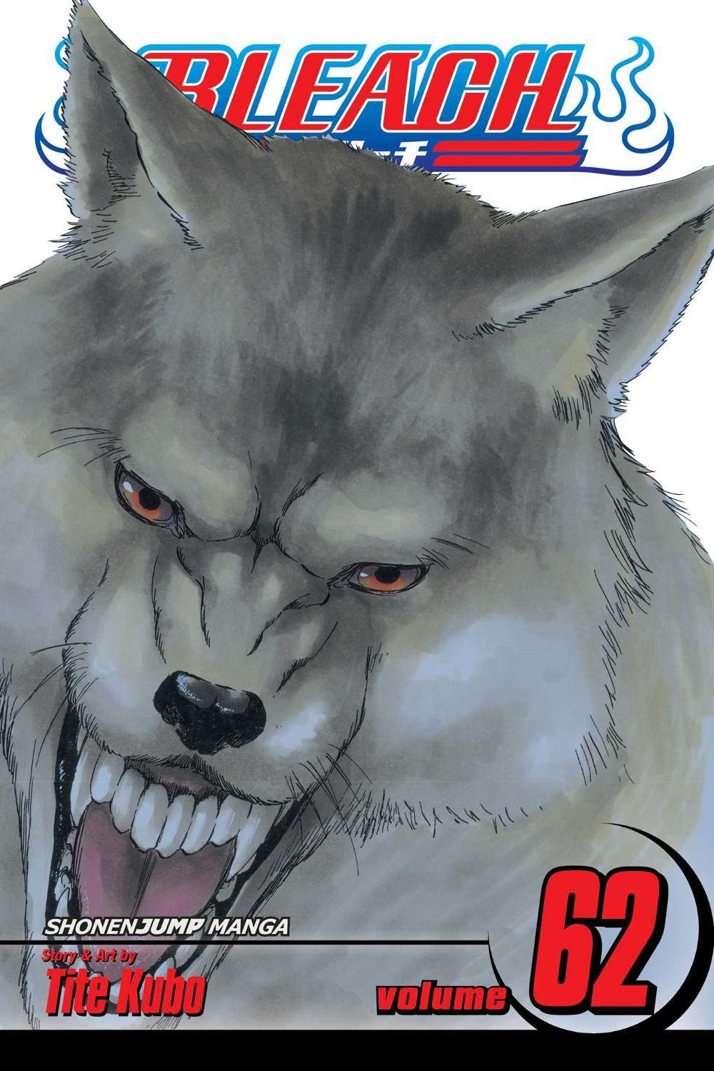 Bleach, Vol. 62 by Tite Kubo - ISBN: 9781421576817