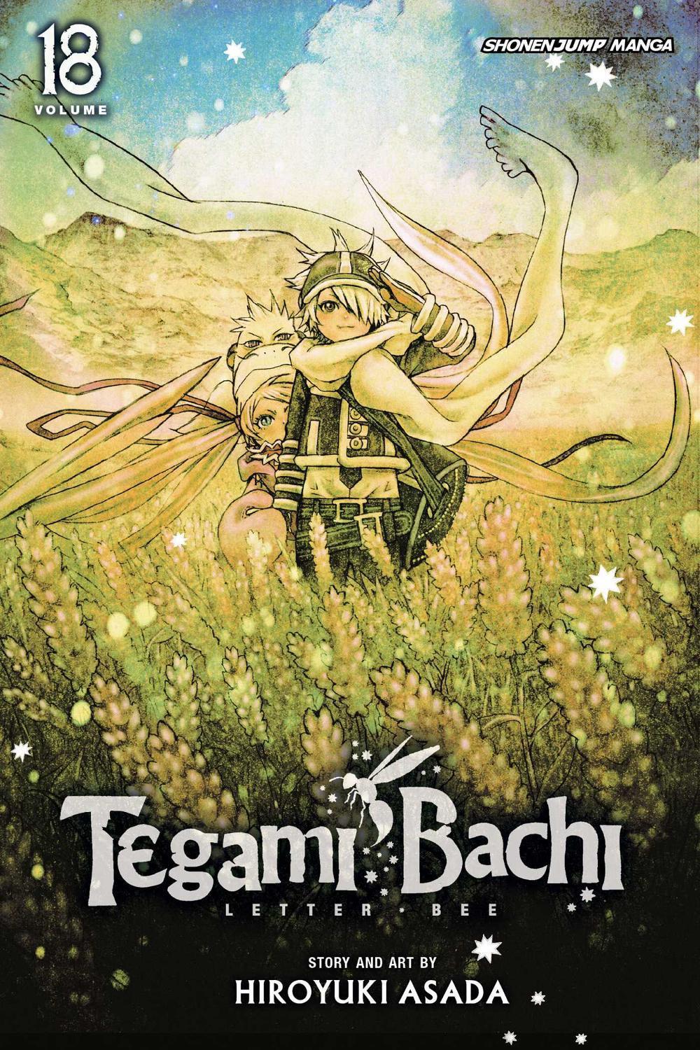 Tegami Bachi, Vol. 18 by Hiroyuki Asada - ISBN: 9781421579696